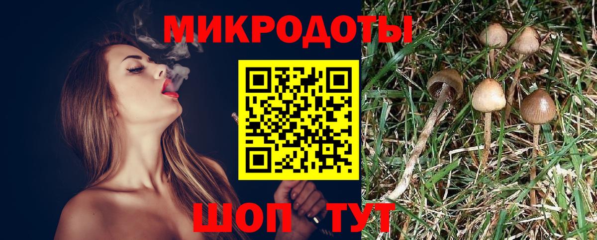 Лабинск  Галлюциногенные грибы MAGIC MUSHROOMS  Галлюциногенные грибы MAGIC MUSHROOMS  Вход с VPN 